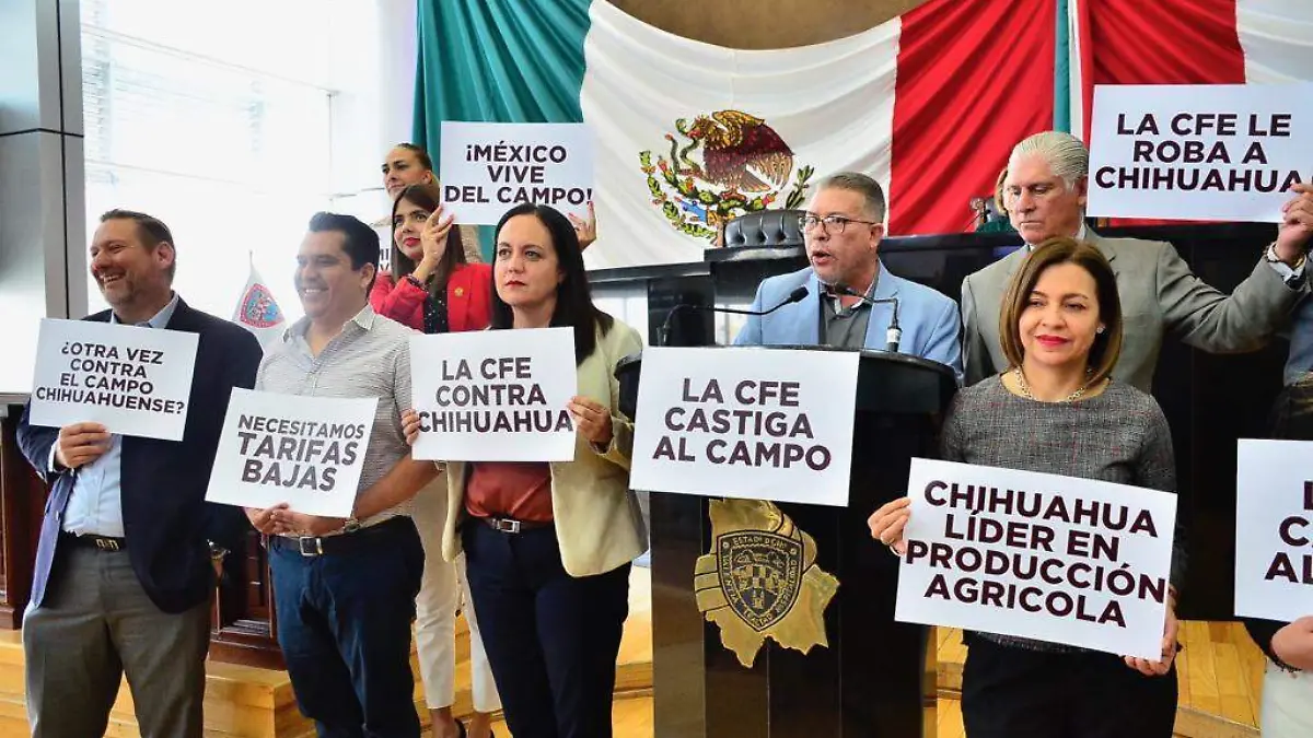 cfe diputados